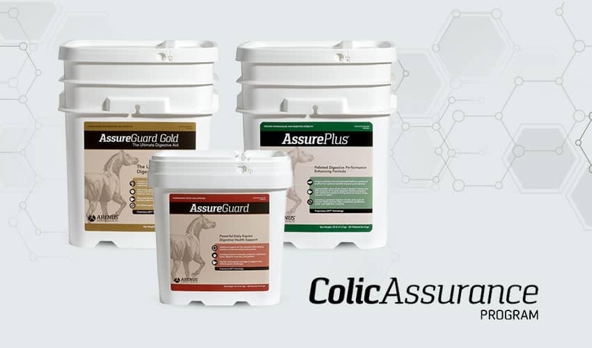 Arenus Equine Products for Digestion in Horses.